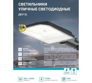 Светильник уличный линзованный светодиодный ДКУ-2L 70Вт 230В 5000К 8750лм 125лм/Вт 42-48мм IP65 NEOX 4690612057088