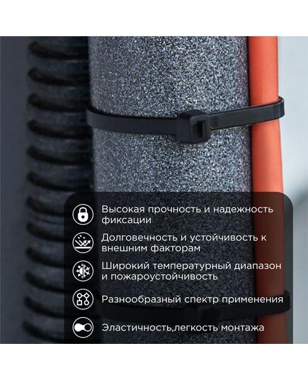Хомут кабельный 2.5х200 нейл. черн. (уп.100шт) Rexant 07-0201-4